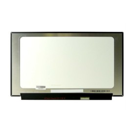 LCD Screen 15.6